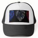 picks hats by joshman0900 picks hats