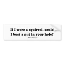 PICKUP LINES - "Can I bust a nut in your hole?" bumper stickers