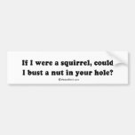 PICKUP LINES - "Can I bust a nut in your hole?" Bumper Stickers