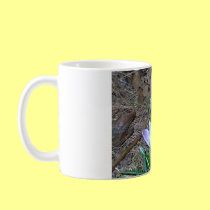 Pickwick Crocus mugs