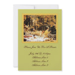 Picnic/Garden Party Custom Invites