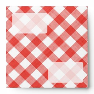 Picnic Tablecloth envelope envelope