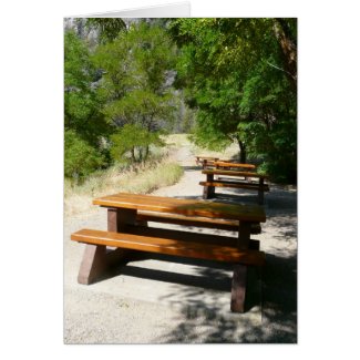 Picnic Tables in the Park card