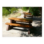 Picnic Tables in the Park Postcard