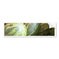 Picnic time bumper stickers