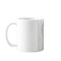 pico mugs