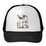 PICS 019 HAT
