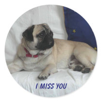 PICT0201, I Miss You stickers by evamui PICT0201, I Miss You stickers