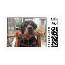 PICT1609_0269.jpg Postage Stamps