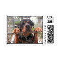 PICT1609_0269.jpg postage