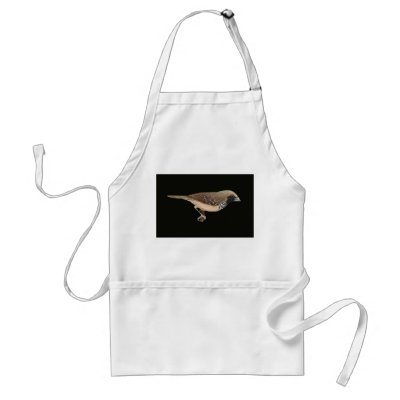 Pictorella Mannikin - Heteromunia pectoralis Aprons by LisasLair