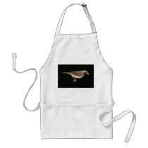 Pictorella Mannikin - Heteromunia pectoralis aprons