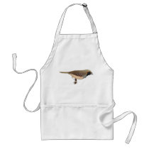 Pictorella Mannikin - Heteromunia pectoralis aprons