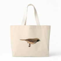 Pictorella Mannikin - Heteromunia pectoralis bags