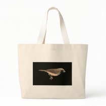 Pictorella Mannikin - Heteromunia pectoralis bags