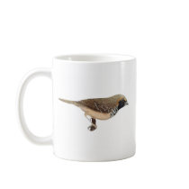 Pictorella Mannikin - Heteromunia pectoralis Promo Coffee Mugs