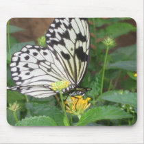 Picture014 mousepads
