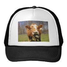 Picture 001 hat