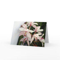 Picture 003 card