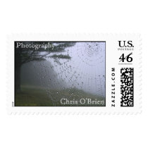Picture 007, Photography, Chris O'Brien postage
