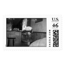 Picture 008 postage