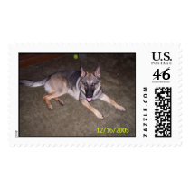 Picture 014 postage by lonleygirl_10 Picture 014 postage