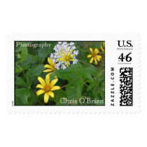 Picture 017, Photography, Chris O'Brien postage