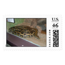Picture 018 postage