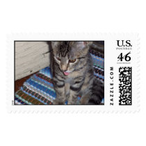Picture 027 postage by UnaPoet Picture 027 postage