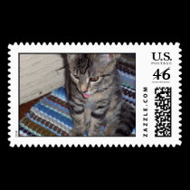 Picture 027 stamps