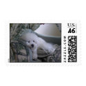 Picture 046 postage
