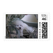 Picture 046 postage