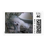 Picture 046 postage