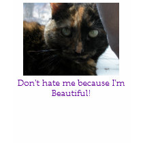 Picture 071, Don't hate me because I'm Beautiful! t-shirts