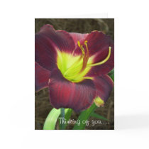 Picture 147, Thinking of you...., Thinking of y... cards