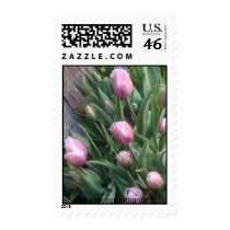 Picture 1590, dianeyoungphotography postage stamps