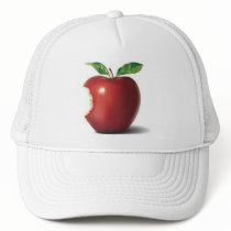 Picture-6 Mesh Hats