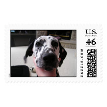 Picture CD 349 postage by Lmiller01 Picture CD 349 postage