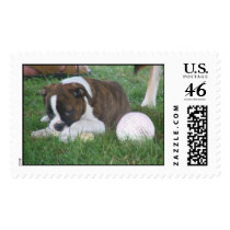 Picture CD 390 postage