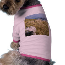 Picture From Yorkshire Dales pet clothing by lifesphere Picture From Yorkshire Dales pet clothing