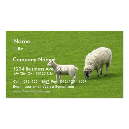 Picture Of A Baby Sheep With Her Mother Business Card Template (front side)
