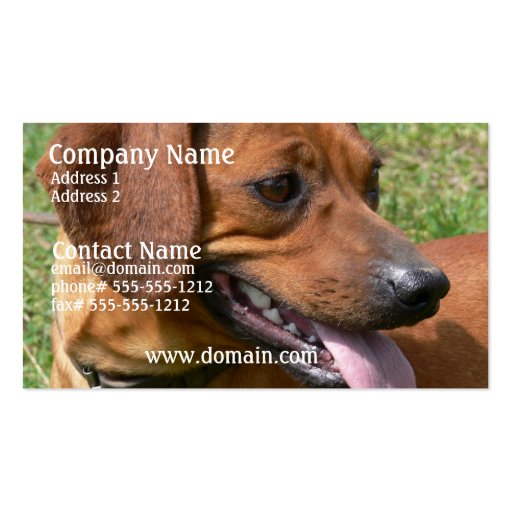 Picture of a Dachshund Business Card (front side)