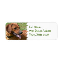 Picture of a Daschund Mailing Label
