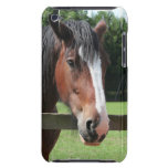 Picture of a Quarter Horse iTouch Case iPod Case-Mate Case