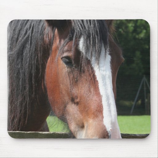 Picture of a Quarter Horse Mouse Pad