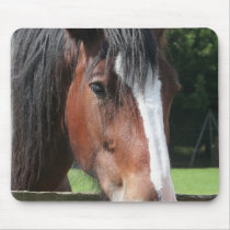 Picture of a Quarter Horse Mouse Pad