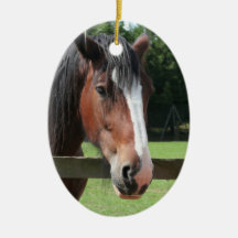 Picture of a Quarter Horse Ornament