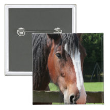 Picture of a Quarter Horse Square Pin