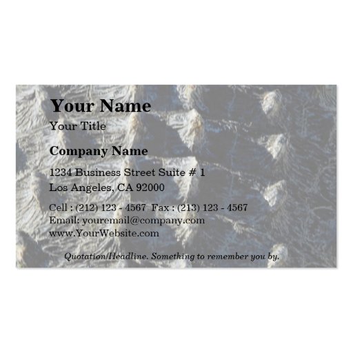 Picture of Aligator, detail Business Card Templates