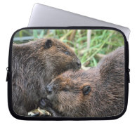 Picture of Beavers Grooming Computer Sleeve